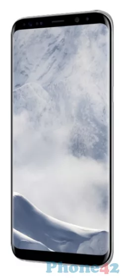 Samsung Galaxy S8 Plus Exynos / 5