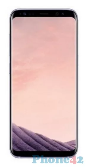 Samsung Galaxy S8 / SM-G950