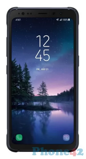 Samsung Galaxy S8 Active / SM-G892A