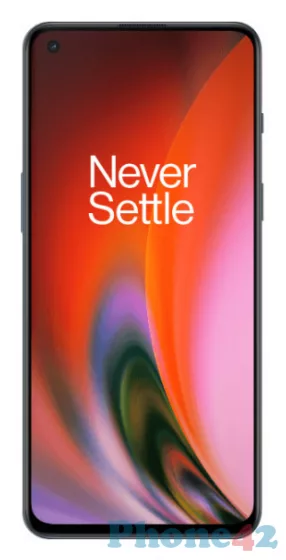 OnePlus Nord 2 5G / 1