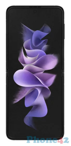 Samsung Galaxy Z Flip3 5G / 1